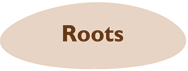 Roots